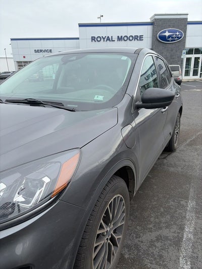 2022 Ford Escape Plug-In Hybrid SE
