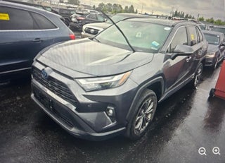 2023 Toyota RAV4 Hybrid XLE Premium