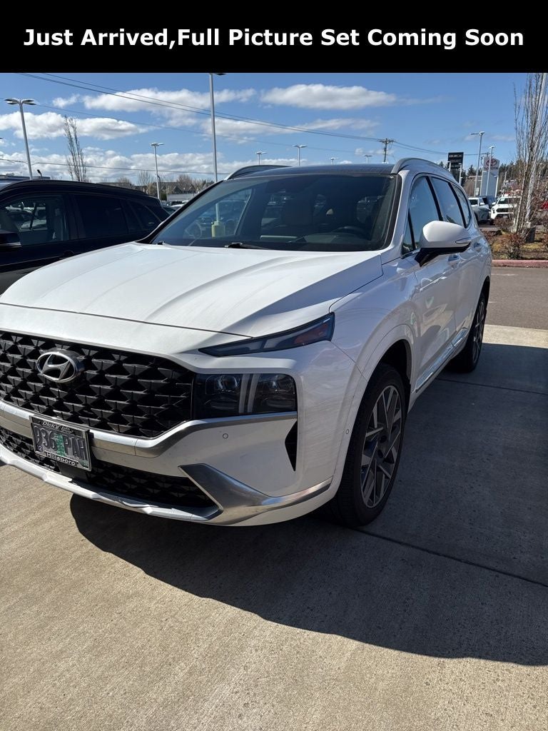 2023 Hyundai Santa Fe Calligraphy