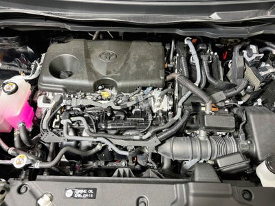 2025 Toyota Sienna XLE 8 Passenger