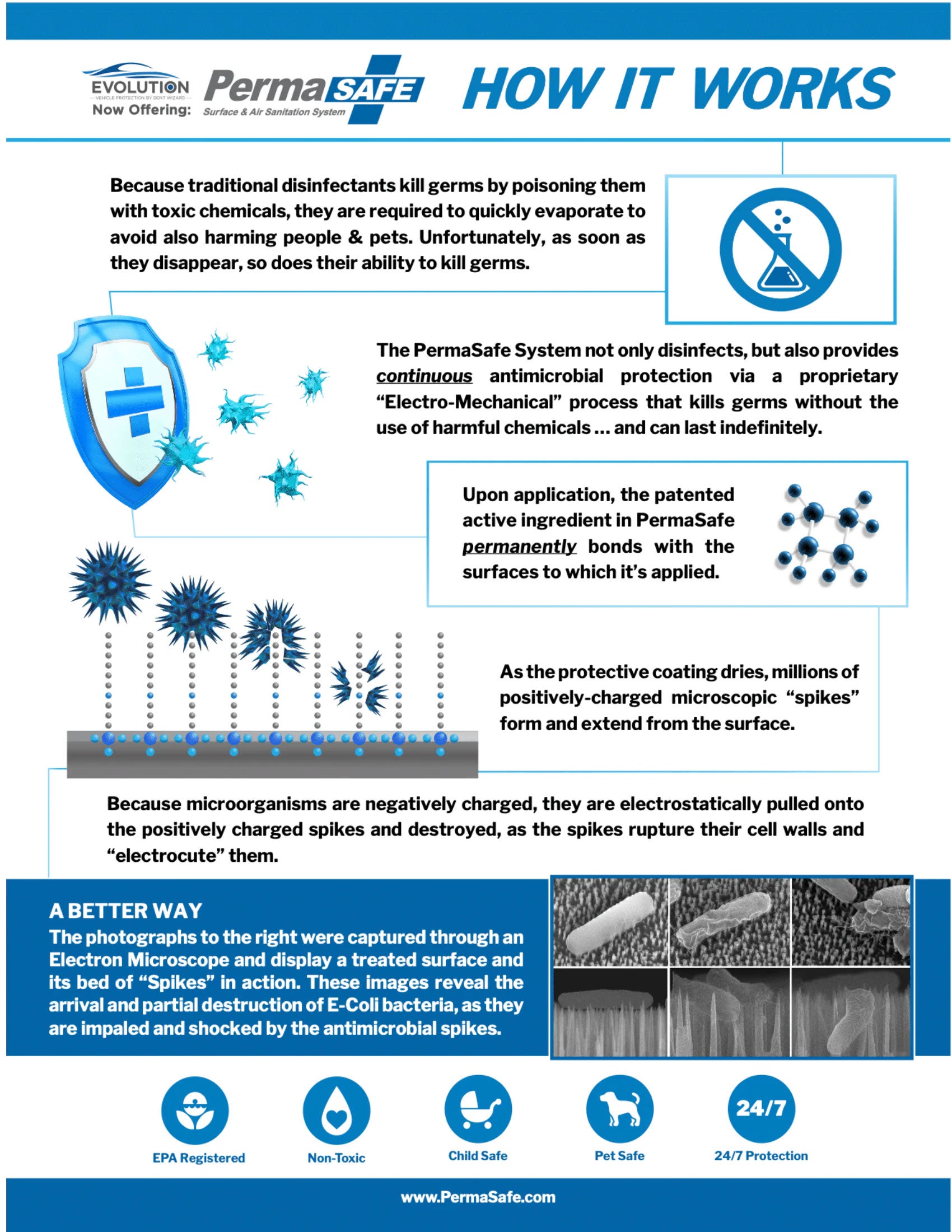 Permasafe Brochure for Royal Moore Auto Center in Hillsboro OR